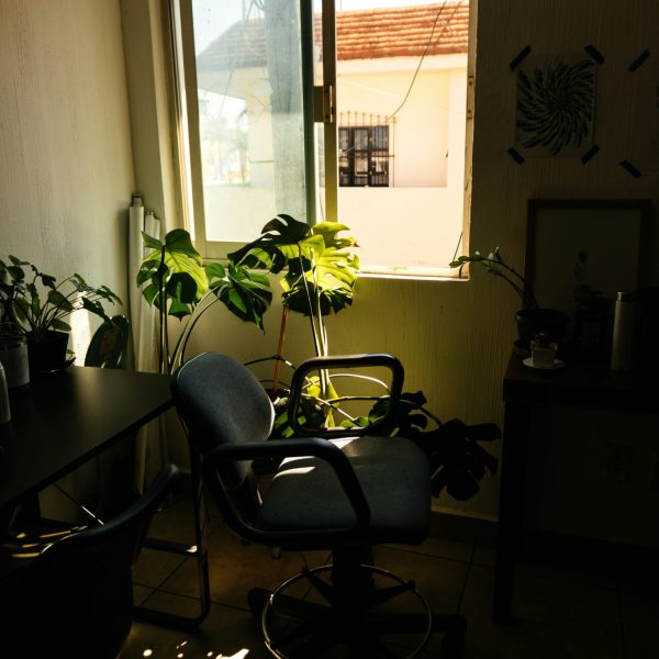 Consciência não é maturidade