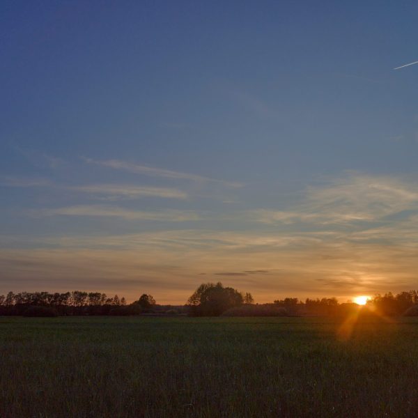 A parte esquecida da liberdade: sustentar o que se escolhe